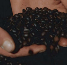 Cafea boabe Organic Coffee 1000 g