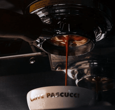 Freshly brewed coffee pouring from an espresso machine into a Caffe Pascucci cup.